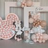 TRANG TRÍ SINH NHẬT VỚI CHỦ ĐỀ CHUỘT MICKEY